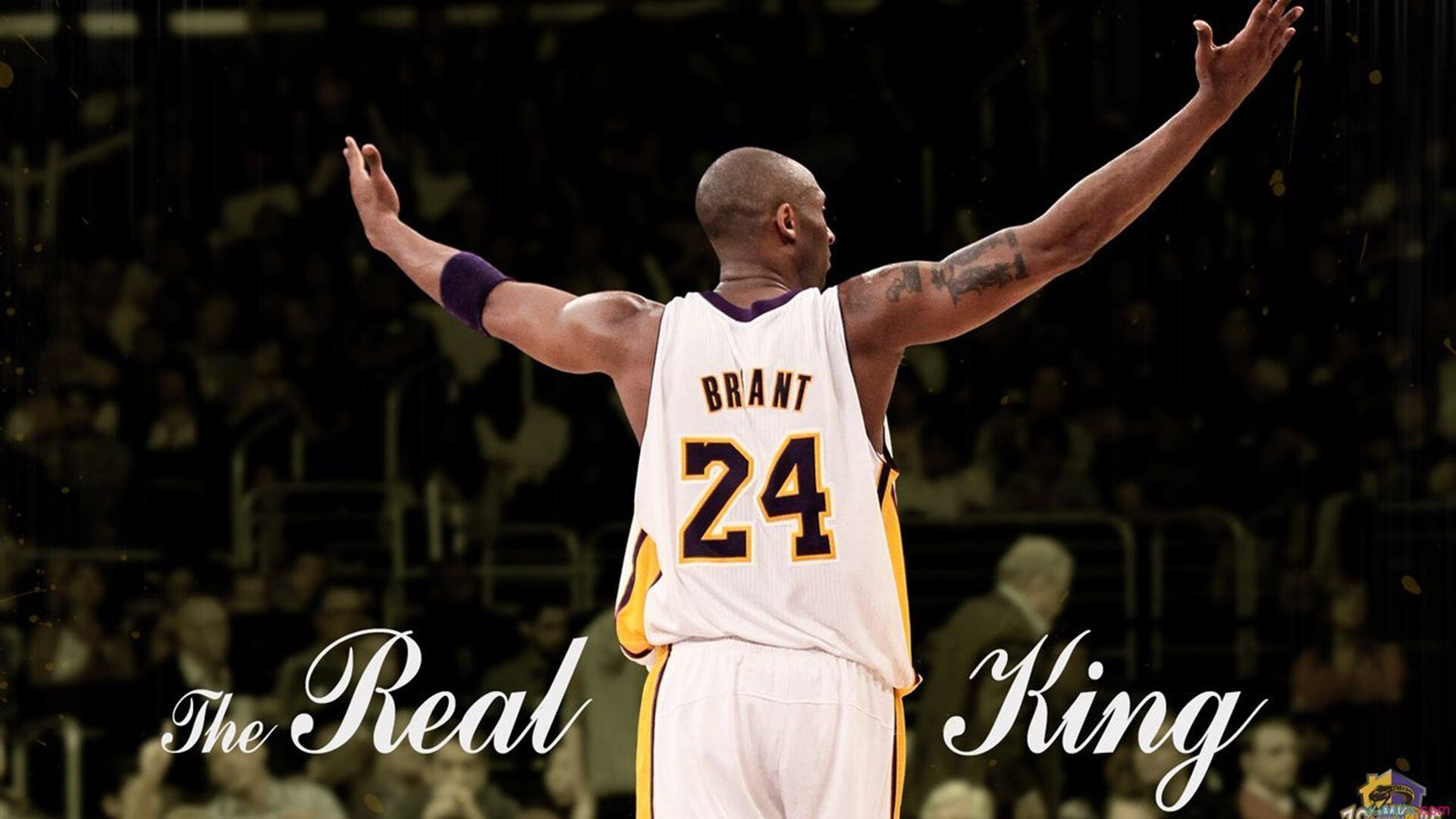 德甲决赛激情夜！孙颖莎里突外投，巴塞罗那横扫波士顿凯尔特人